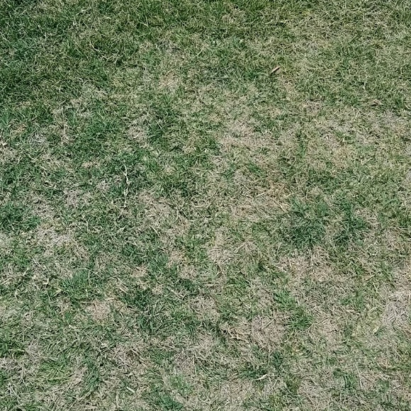 Meet your Posher, A - Picture 1 of 1